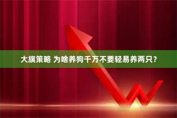 大旗策略 为啥养狗千万不要轻易养两只？