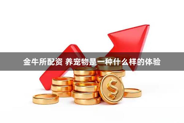 金牛所配资 养宠物是一种什么样的体验