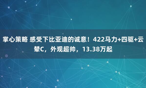 掌心策略 感受下比亚迪的诚意！422马力+四驱+云辇C，外观超帅，13.38万起