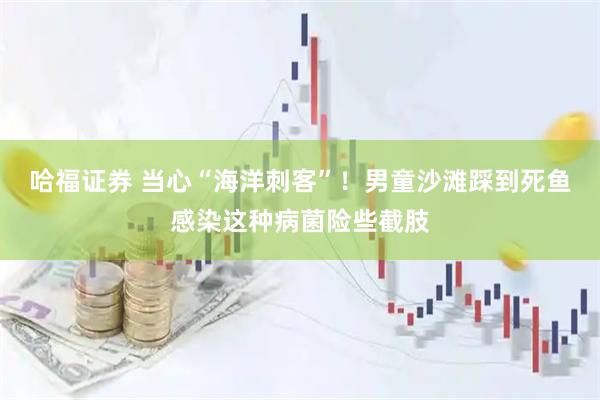 哈福证券 当心“海洋刺客”！男童沙滩踩到死鱼感染这种病菌险些截肢