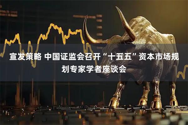 宣发策略 中国证监会召开“十五五”资本市场规划专家学者座谈会