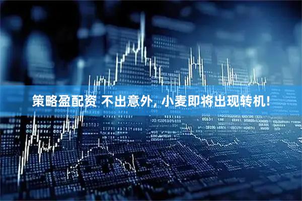 策略盈配资 不出意外, 小麦即将出现转机!